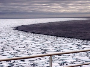The Polar Ice Cap