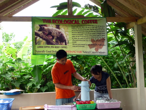 Luwak coffee - Bali