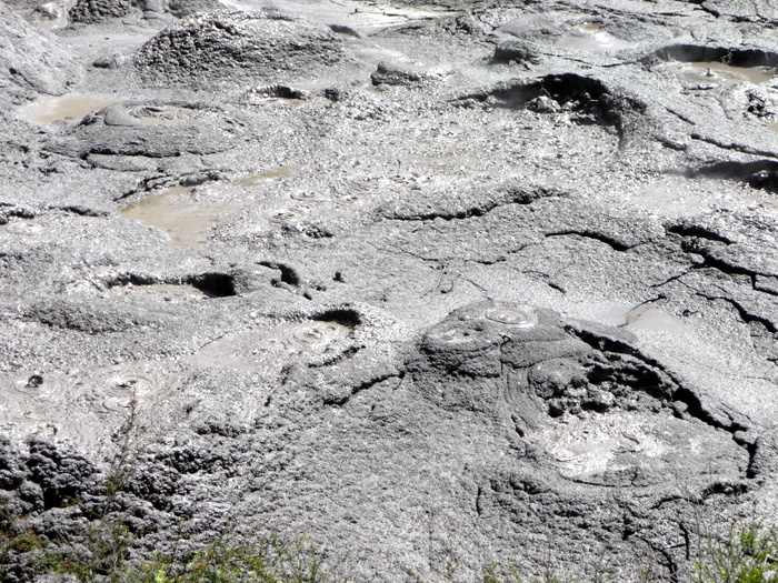 Bubbling mud pools, Rotorua, New Zealand