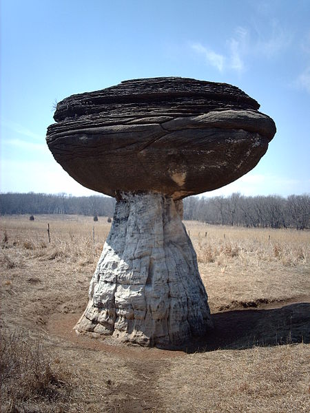 Mushroom