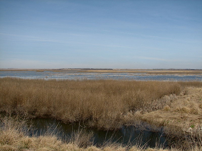 cheyenne bottoms