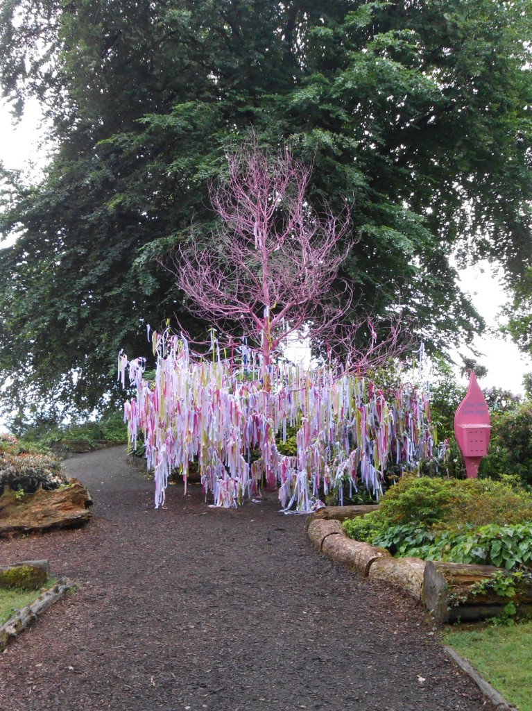 Wish Tree