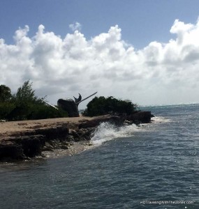 replica of Caribbean humpback whales migrate through the Turks head passage