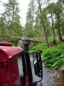 transport up a steep rainforest hillside to the canopy chalet