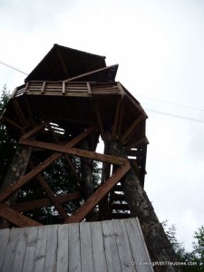 viewing tower, Rainforest Canopy & Zipline Expedition – Ketchikan, Alaska