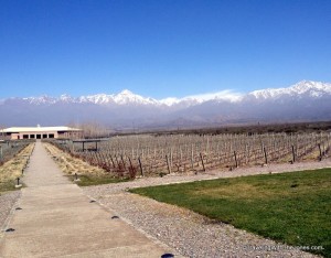 Salentein Winery, Valle de Uco, Mendoza, Argentina