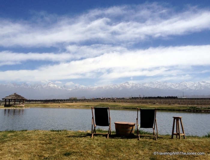 view of Andes from Domain Bousquet, Uco Valley, Mendoza, Argentina
