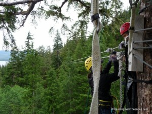 group harnessed to wires, Rainforest Canopy & Zipline Expedition – Ketchikan, Alaska