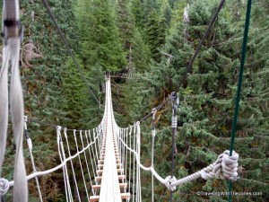 suspension bridges, Rainforest Canopy & Zipline Expedition – Ketchikan, Alaska
