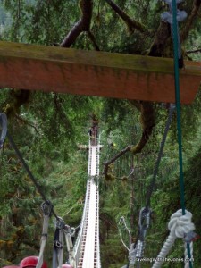suspension bridges, Rainforest Canopy & Zipline Expedition – Ketchikan, Alaska