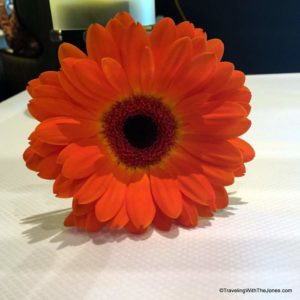 flower on table, a Taste of De Librije, Holland America, Koningsdam cruise ship