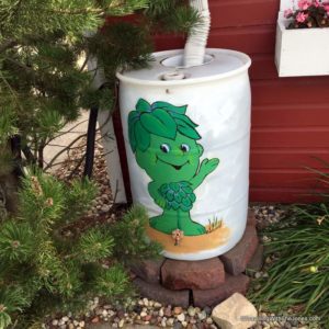 Little Green Sprout, Blue Earth, MN