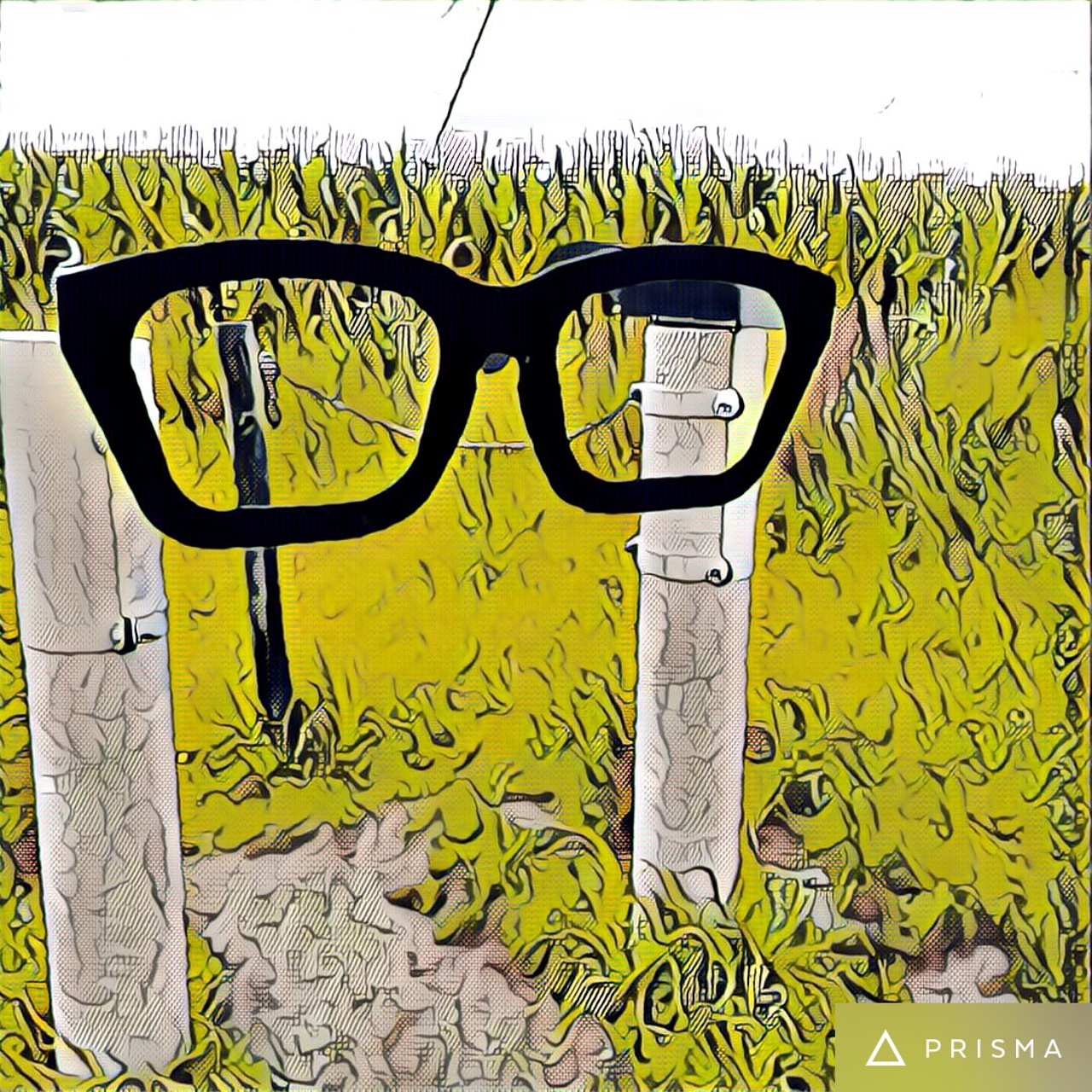 "Glasses" a memorial to Buddy Holly near Clear Lake, Iowa