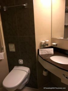 sink and toilet, wheelchair accessible, cabin 2555, ms Rotterdam cruise ship, Holland America