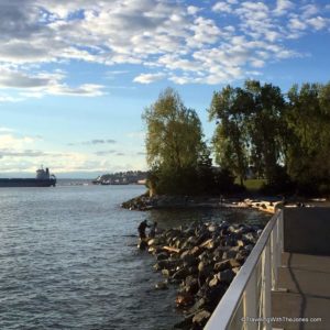 Z Path, looking toward beach, Olympic Sculpture Park, Seattle