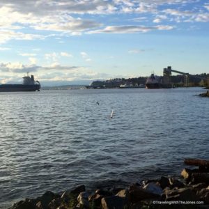 view of Smith Cove and Pier 91 Cruise Terminal from Myrtle Edwards Park, Seattle