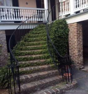 ivy-covered stairs, Charleston, South Carolina