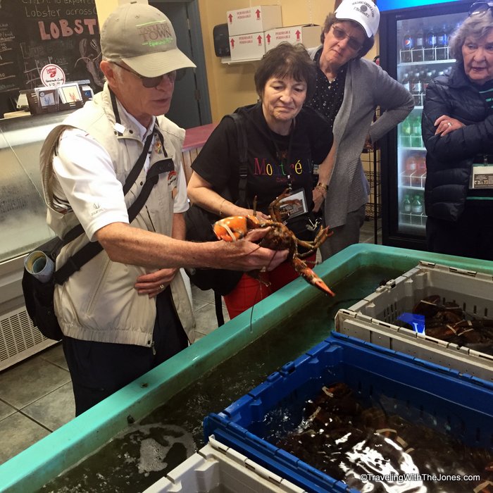 culinary tour guide explaining lobster, Charlottetown, Price Edward Island, Canada