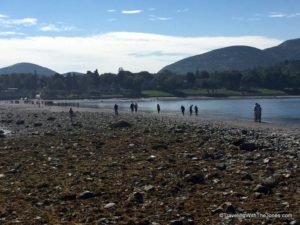 walking across the gravel "bar" at low tide from Bar Harbor to Bar Island in Maine