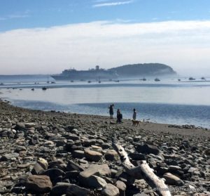 view from Bar Island, Maine