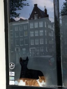 cat in the window, Amsterdam
