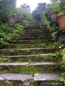 climbing 100 steps, Bantry House and Gardens, Bantry, Ireland