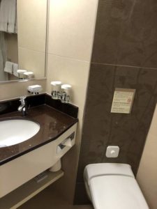 sink and toilet - ocean-view stateroom on Holland America's Veendam