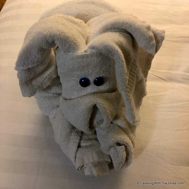 towel animals, Holland America's Eurodam cruise ship