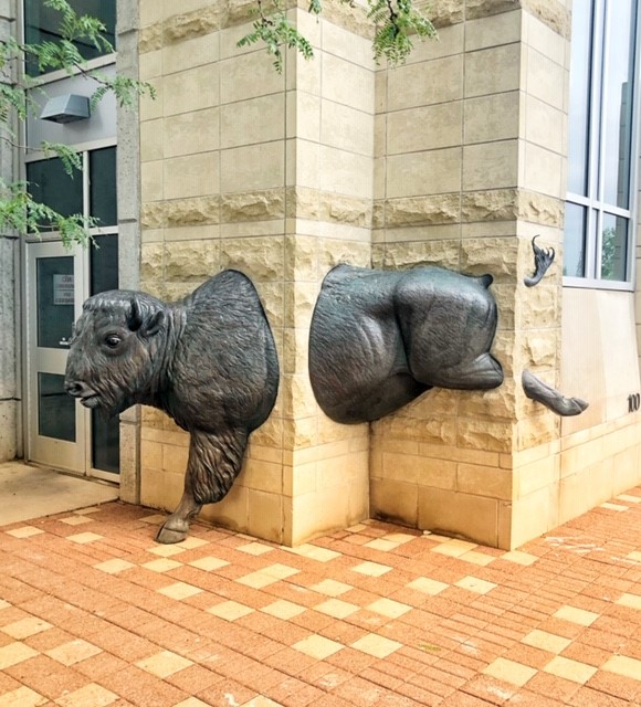 Bison sculpture in downtown Omaha